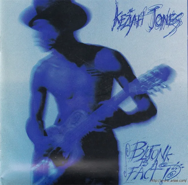 钟情老唱片推荐022 Blufunk Is a Fact